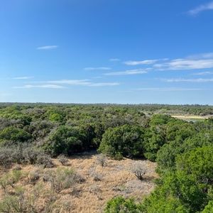 Meet your Posher, Nadia